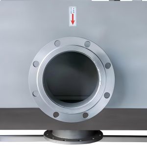 Rotary drum filter